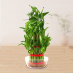 Temple Flower Basket